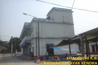 Krishak Sahayak Kendra,Sitalkuchi Krishak Bazar